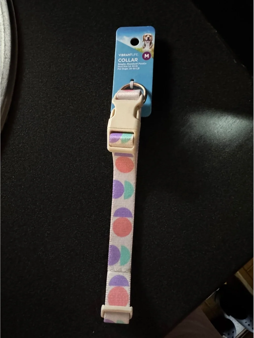 Vibrant Life Medium Dog Collar for Beagle and Standard Poodle, Neck Size 14-20in